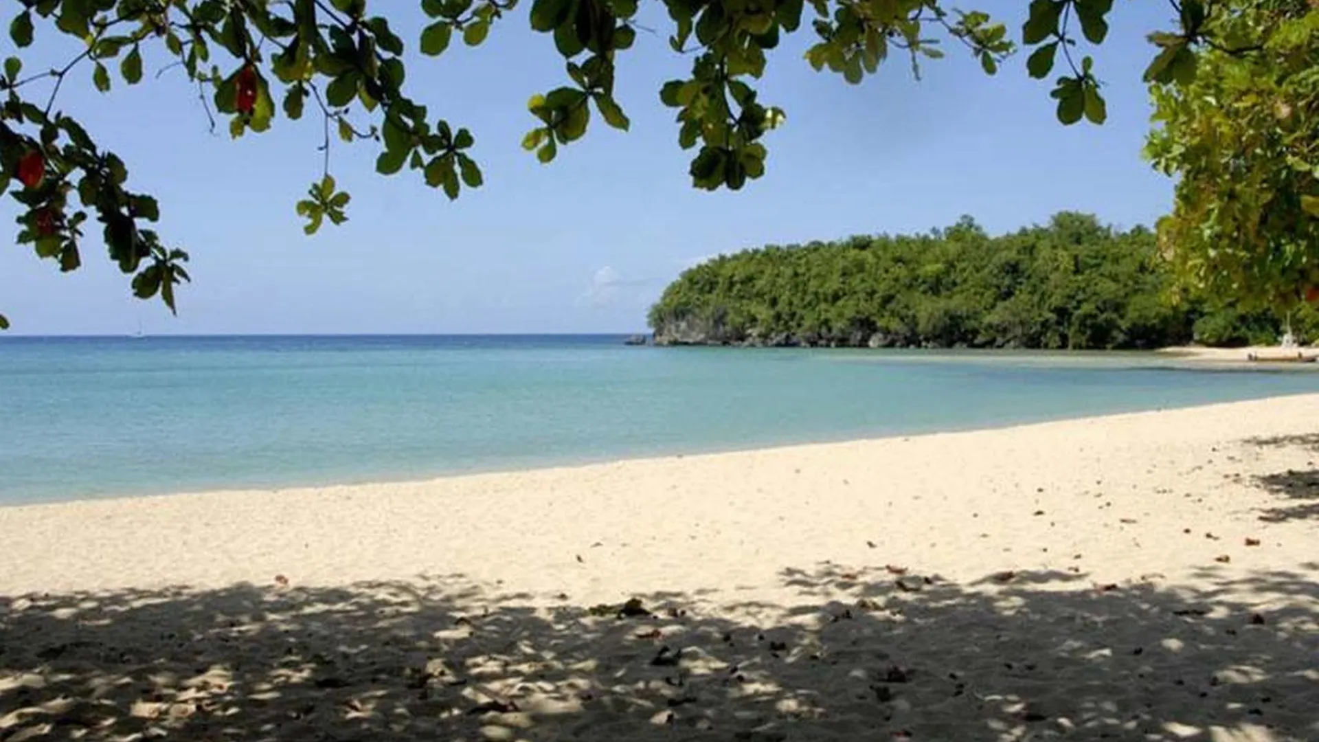 Shaw Park Beach Hotel & Spa Ότσο Ρίος